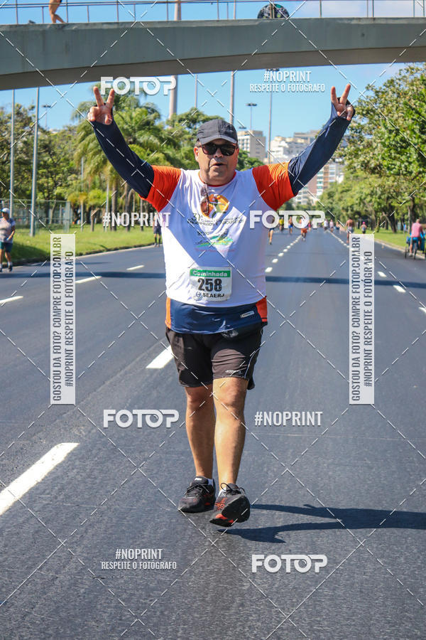 Acquista le foto dell'evento31 Corrida e Caminhada dos Engenheiros e Arquitetos in Fotop