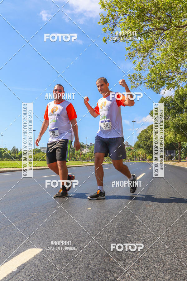 Acquista le foto dell'evento31 Corrida e Caminhada dos Engenheiros e Arquitetos in Fotop