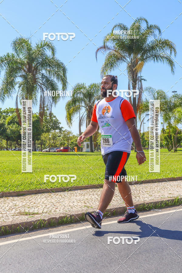 Acquista le foto dell'evento31 Corrida e Caminhada dos Engenheiros e Arquitetos in Fotop