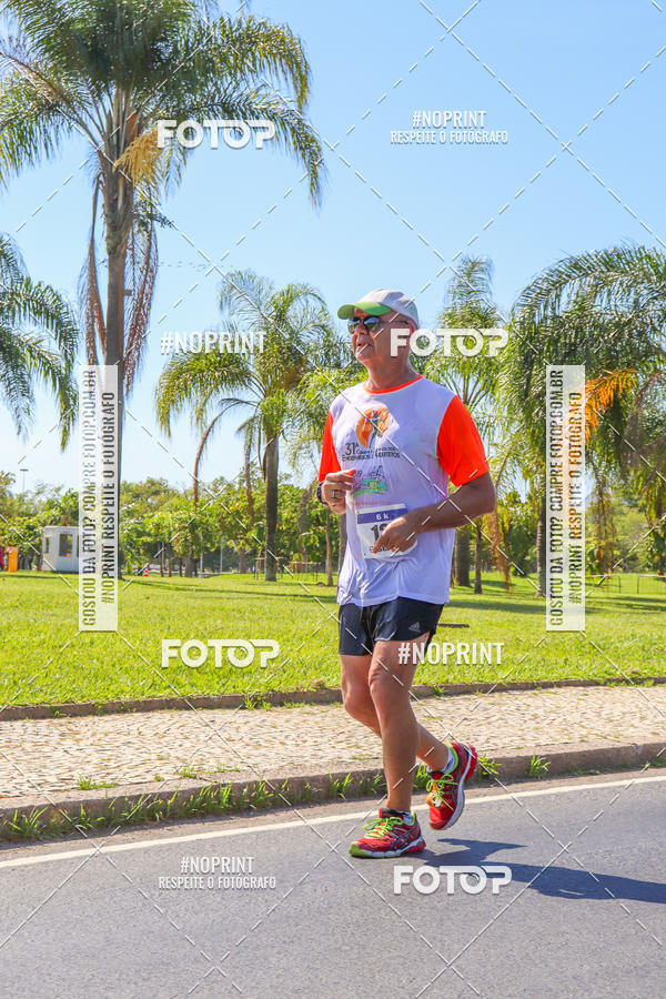 Acquista le foto dell'evento31 Corrida e Caminhada dos Engenheiros e Arquitetos in Fotop