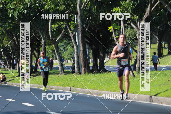 Acquista le foto dell'evento31 Corrida e Caminhada dos Engenheiros e Arquitetos in Fotop