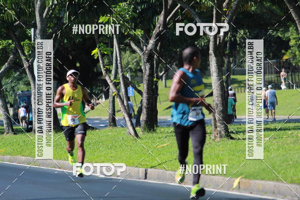 Acquista le foto dell'evento31 Corrida e Caminhada dos Engenheiros e Arquitetos in Fotop