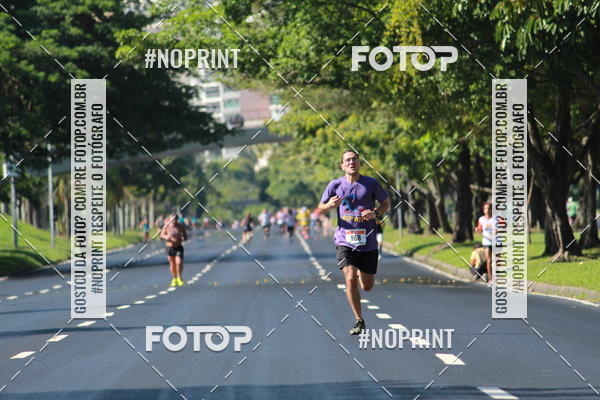 Acquista le foto dell'evento31 Corrida e Caminhada dos Engenheiros e Arquitetos in Fotop