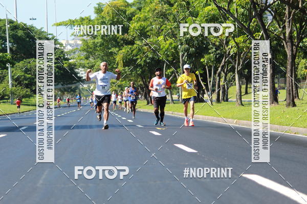 Acquista le foto dell'evento31 Corrida e Caminhada dos Engenheiros e Arquitetos in Fotop