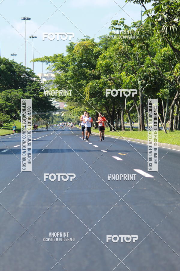 Acquista le foto dell'evento31 Corrida e Caminhada dos Engenheiros e Arquitetos in Fotop