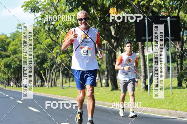 Acquista le foto dell'evento31 Corrida e Caminhada dos Engenheiros e Arquitetos in Fotop
