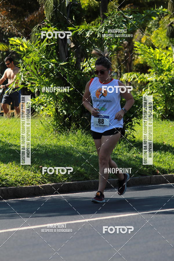 Acquista le foto dell'evento31 Corrida e Caminhada dos Engenheiros e Arquitetos in Fotop