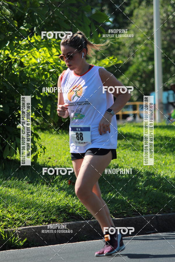 Acquista le foto dell'evento31 Corrida e Caminhada dos Engenheiros e Arquitetos in Fotop
