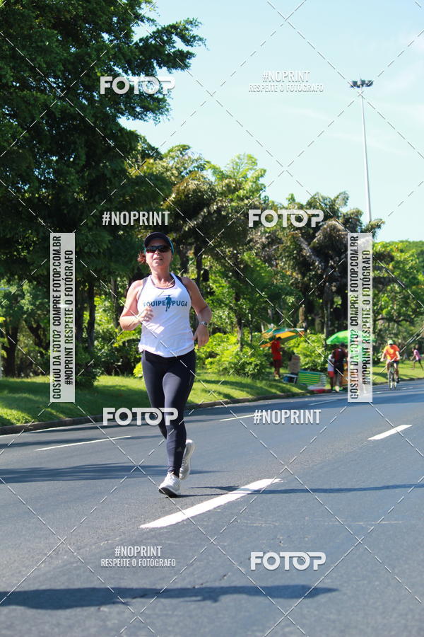 Acquista le foto dell'evento31 Corrida e Caminhada dos Engenheiros e Arquitetos in Fotop
