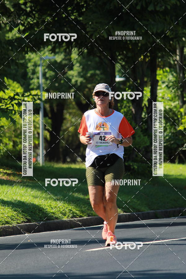 Acquista le foto dell'evento31 Corrida e Caminhada dos Engenheiros e Arquitetos in Fotop