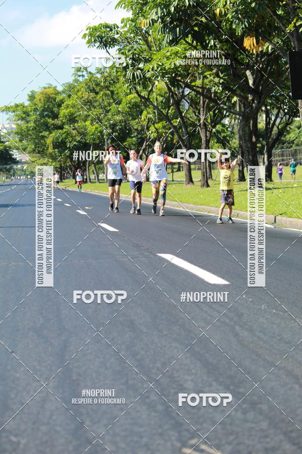 Acquista le foto dell'evento31 Corrida e Caminhada dos Engenheiros e Arquitetos in Fotop