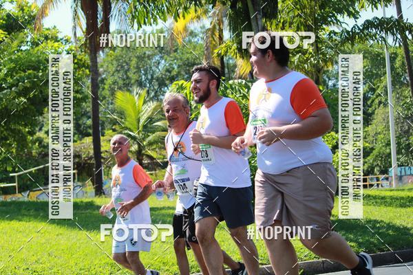 Acquista le foto dell'evento31 Corrida e Caminhada dos Engenheiros e Arquitetos in Fotop