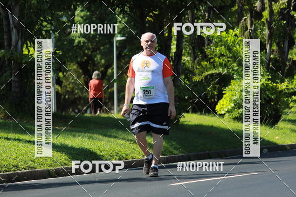 Acquista le foto dell'evento31 Corrida e Caminhada dos Engenheiros e Arquitetos in Fotop