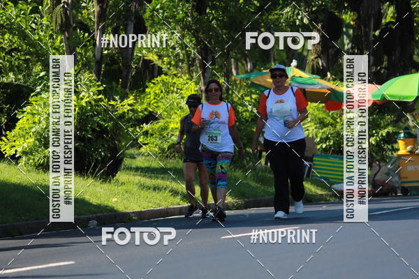 Acquista le foto dell'evento31 Corrida e Caminhada dos Engenheiros e Arquitetos in Fotop
