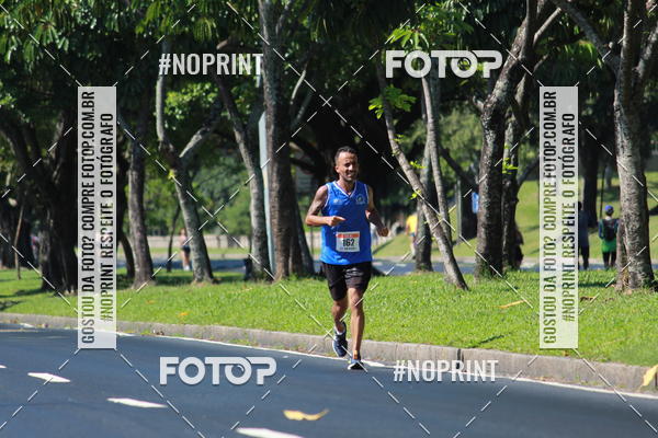 Acquista le foto dell'evento31 Corrida e Caminhada dos Engenheiros e Arquitetos in Fotop