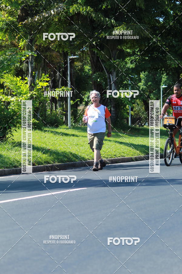 Acquista le foto dell'evento31 Corrida e Caminhada dos Engenheiros e Arquitetos in Fotop