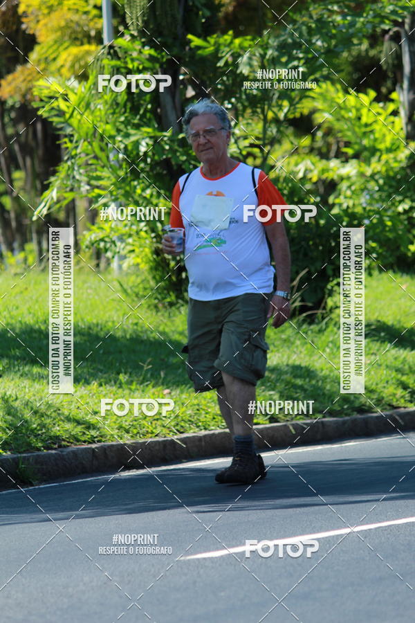 Acquista le foto dell'evento31 Corrida e Caminhada dos Engenheiros e Arquitetos in Fotop