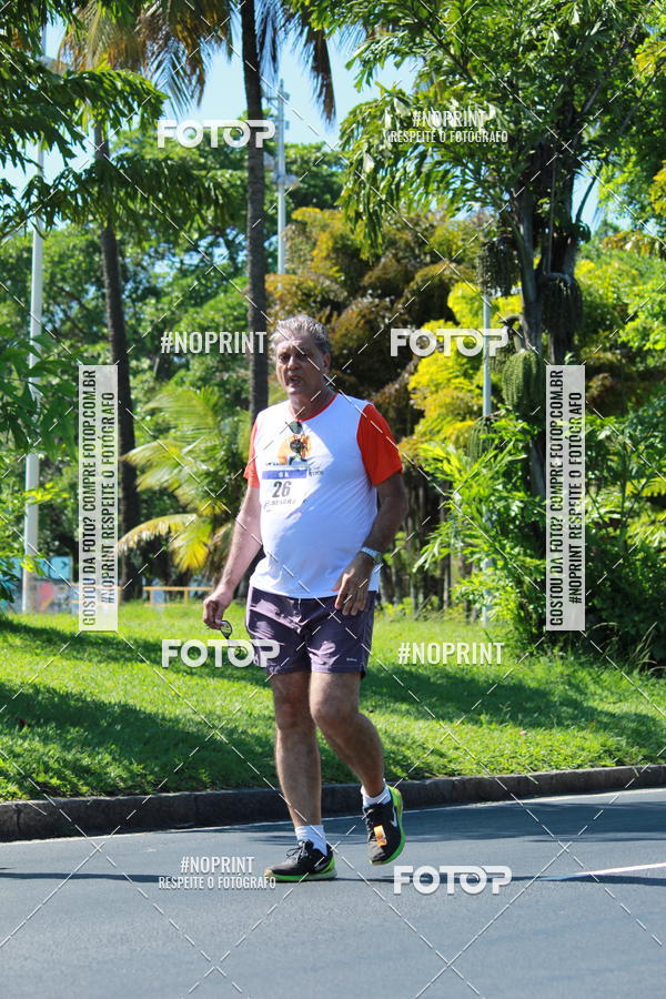Acquista le foto dell'evento31 Corrida e Caminhada dos Engenheiros e Arquitetos in Fotop
