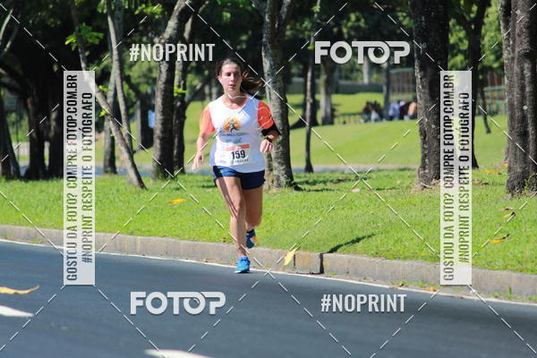 Acquista le foto dell'evento31 Corrida e Caminhada dos Engenheiros e Arquitetos in Fotop