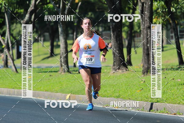 Acquista le foto dell'evento31 Corrida e Caminhada dos Engenheiros e Arquitetos in Fotop