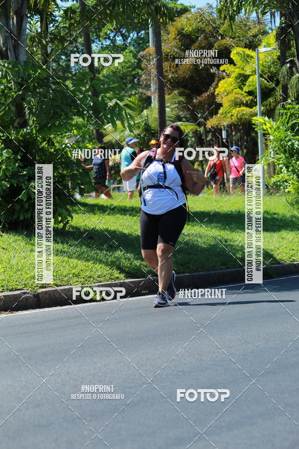 Acquista le foto dell'evento31 Corrida e Caminhada dos Engenheiros e Arquitetos in Fotop