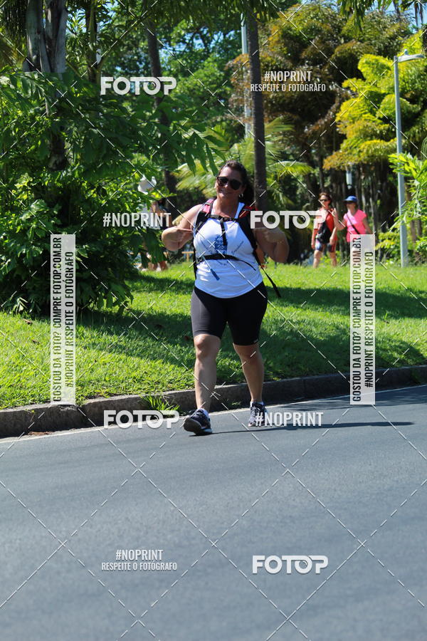 Acquista le foto dell'evento31 Corrida e Caminhada dos Engenheiros e Arquitetos in Fotop