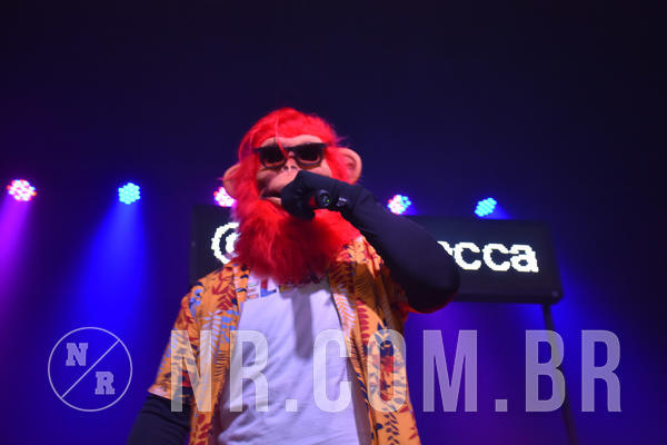 Buy your photos of the eventNR Fun - Resort Sto A. do Pinhal 16 a 20/10/19 on Fotop