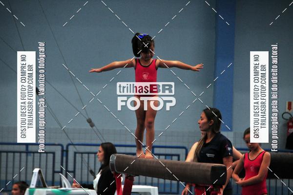 Buy your photos of the event2 Copa Estadual de Ginstica Artstica on Fotop