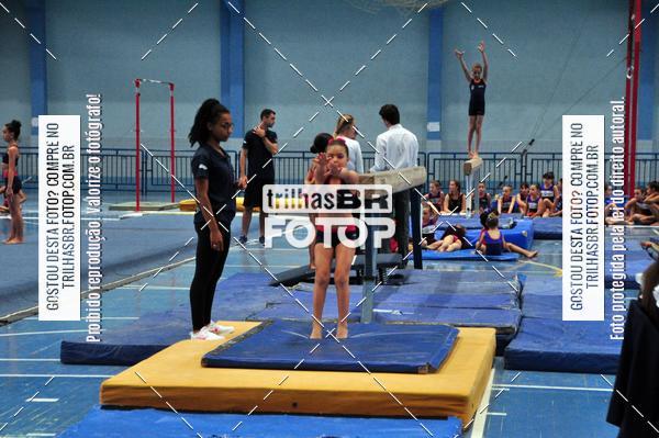 Buy your photos of the event2 Copa Estadual de Ginstica Artstica on Fotop