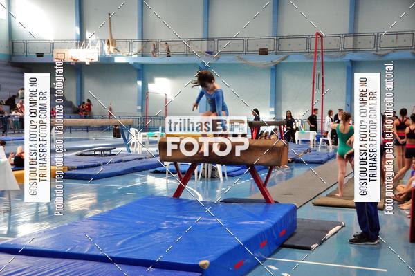 Buy your photos of the event2 Copa Estadual de Ginstica Artstica on Fotop