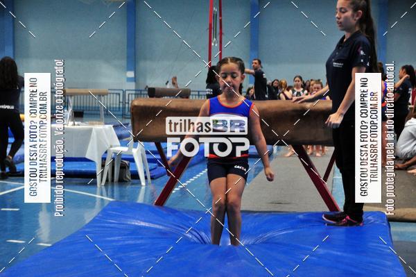 Buy your photos of the event2 Copa Estadual de Ginstica Artstica on Fotop