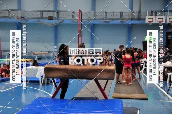 Buy your photos of the event2 Copa Estadual de Ginstica Artstica on Fotop
