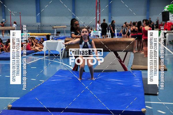 Buy your photos of the event2 Copa Estadual de Ginstica Artstica on Fotop
