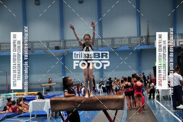 Buy your photos of the event2 Copa Estadual de Ginstica Artstica on Fotop