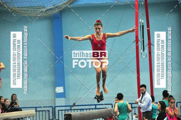 Buy your photos of the event2 Copa Estadual de Ginstica Artstica on Fotop