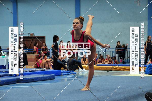 Buy your photos of the event2 Copa Estadual de Ginstica Artstica on Fotop