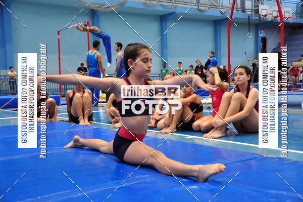 Buy your photos of the event2 Copa Estadual de Ginstica Artstica on Fotop