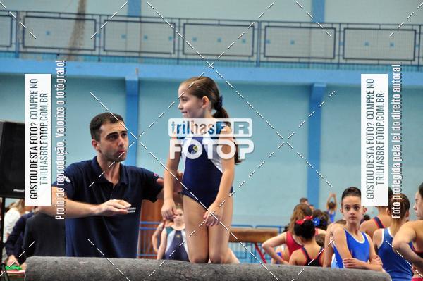 Buy your photos of the event2 Copa Estadual de Ginstica Artstica on Fotop