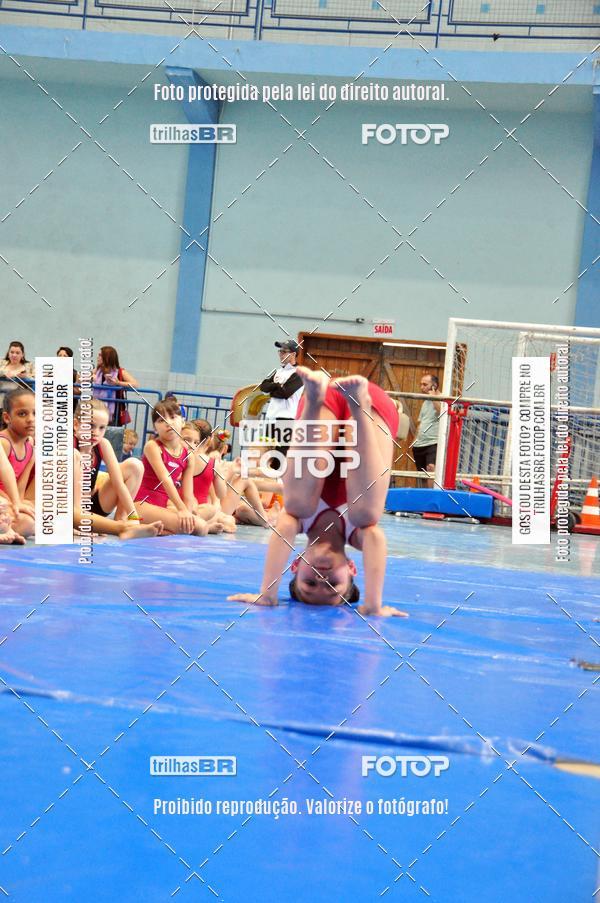 Buy your photos of the event2 Copa Estadual de Ginstica Artstica on Fotop