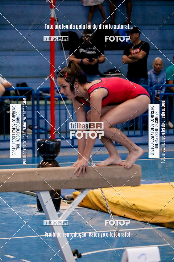 Buy your photos of the event2 Copa Estadual de Ginstica Artstica on Fotop