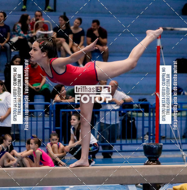Buy your photos of the event2 Copa Estadual de Ginstica Artstica on Fotop