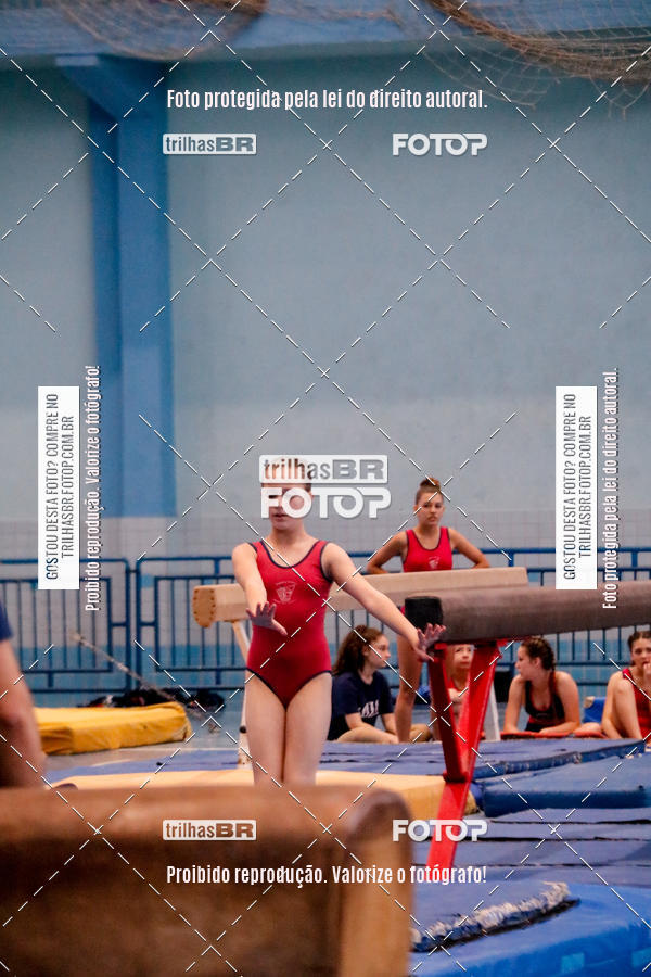 Buy your photos of the event2 Copa Estadual de Ginstica Artstica on Fotop
