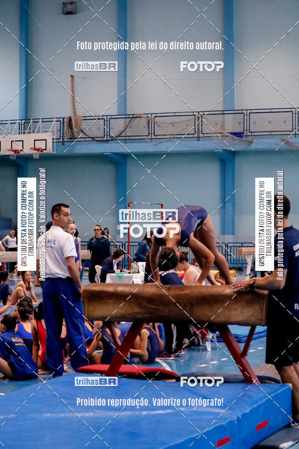 Buy your photos of the event2 Copa Estadual de Ginstica Artstica on Fotop