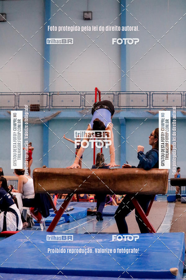 Buy your photos of the event2 Copa Estadual de Ginstica Artstica on Fotop