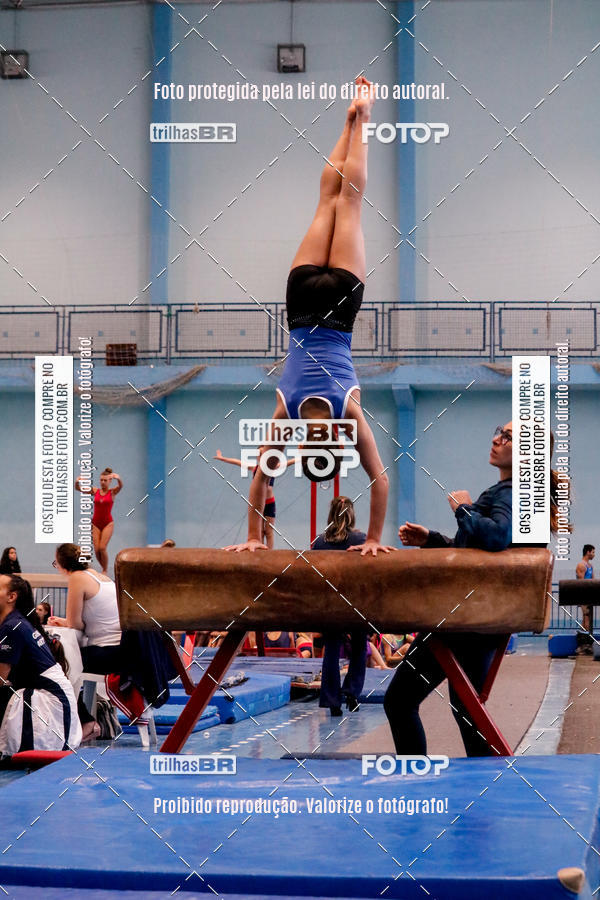 Buy your photos of the event2 Copa Estadual de Ginstica Artstica on Fotop