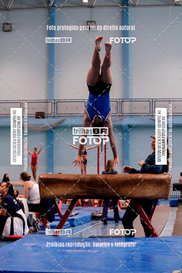 Buy your photos of the event2 Copa Estadual de Ginstica Artstica on Fotop