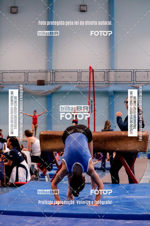 Buy your photos of the event2 Copa Estadual de Ginstica Artstica on Fotop