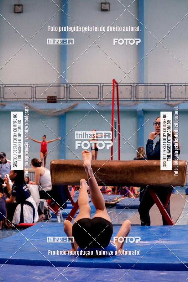 Buy your photos of the event2 Copa Estadual de Ginstica Artstica on Fotop