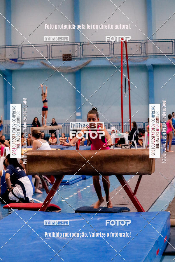 Buy your photos of the event2 Copa Estadual de Ginstica Artstica on Fotop