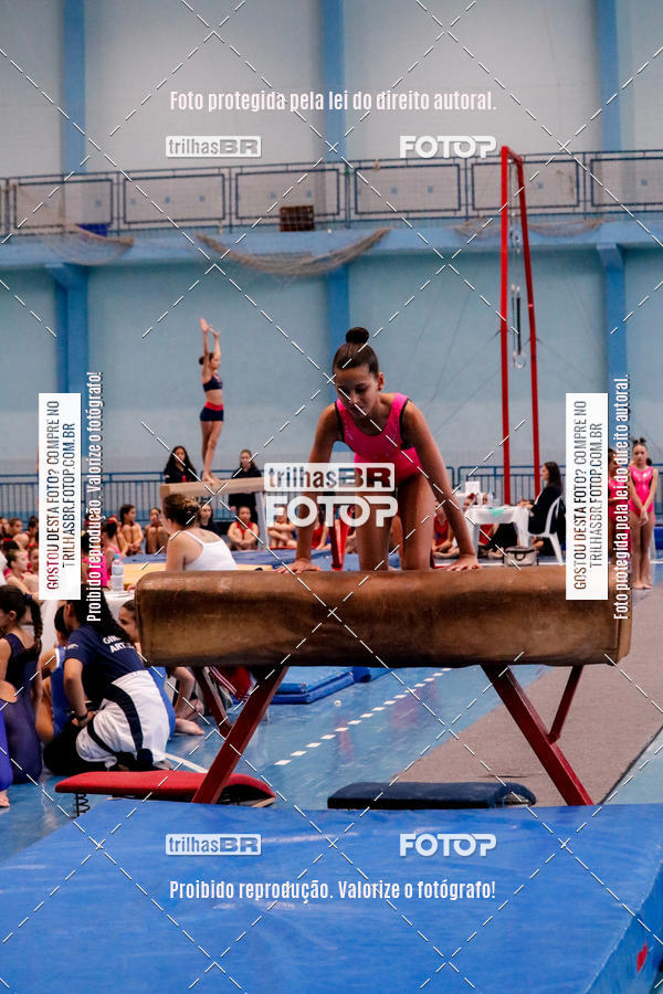 Buy your photos of the event2 Copa Estadual de Ginstica Artstica on Fotop